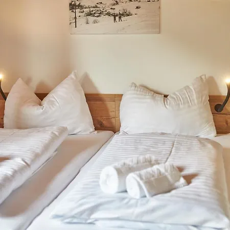 Delfi & Bike Appartamento Saalbach-Hinterglemm